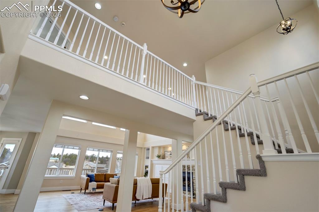 Image 23 of 50: Other