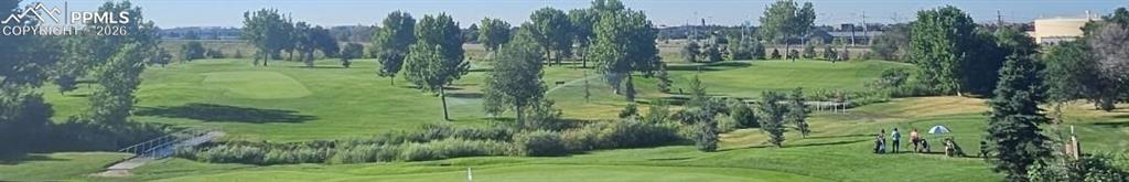 Image 39 of 40: Community