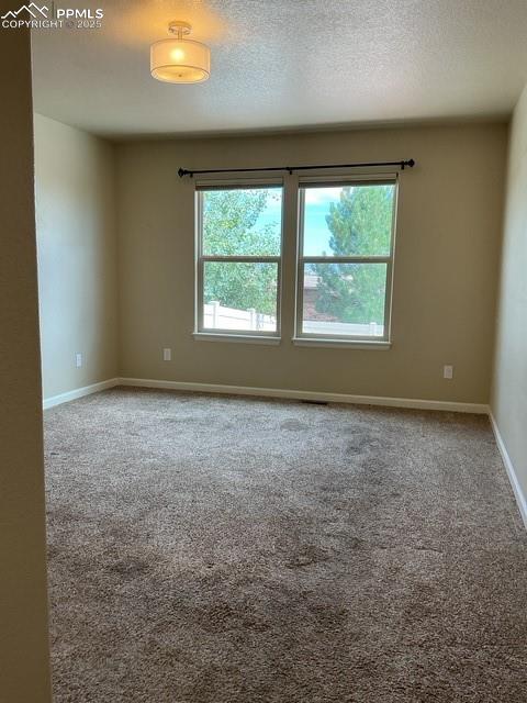 Image 17 of 37: Spare room featuring plenty of natural light, light carpet, and a textured 