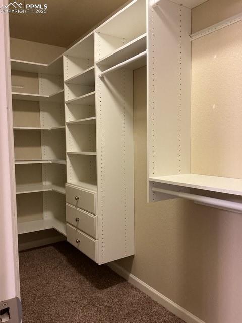 Image 23 of 37: Primary Spacious closet featuring dark colored carpet