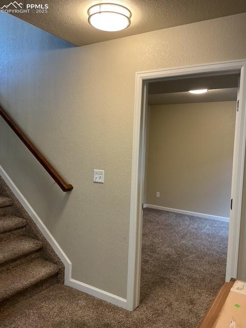Image 25 of 37: Stairs with a textured wall, carpet flooring, and a textured ceiling