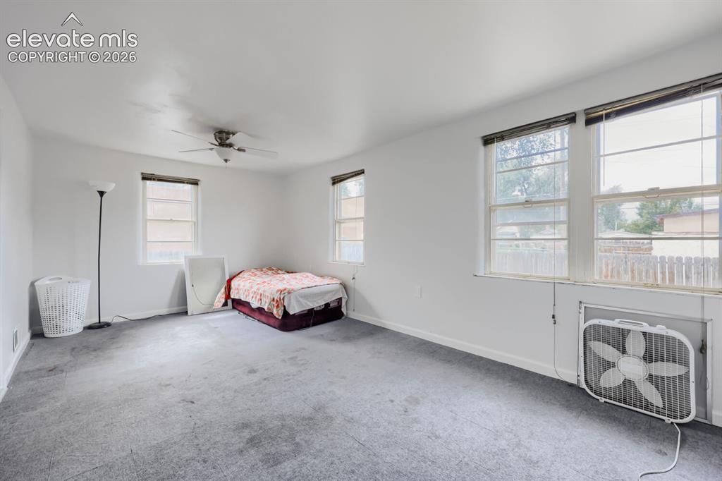 Image 21 of 36: Ceiling fan, multiple windows, and light gray carpeting