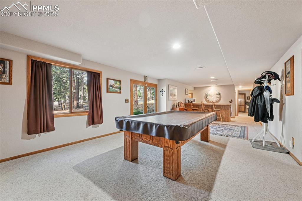 Image 22 of 50: Walk-out Basement