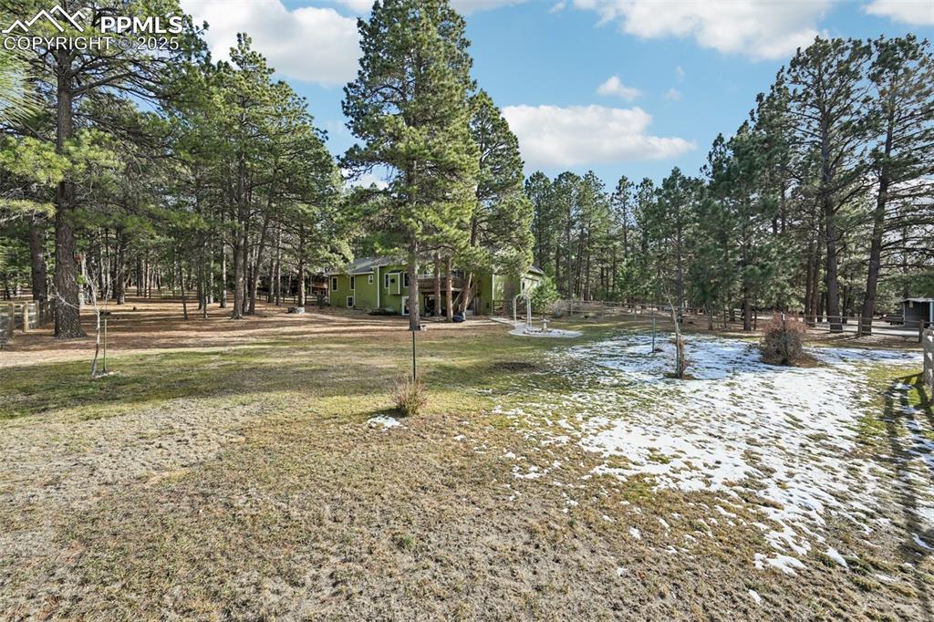 Image 42 of 50: Yard