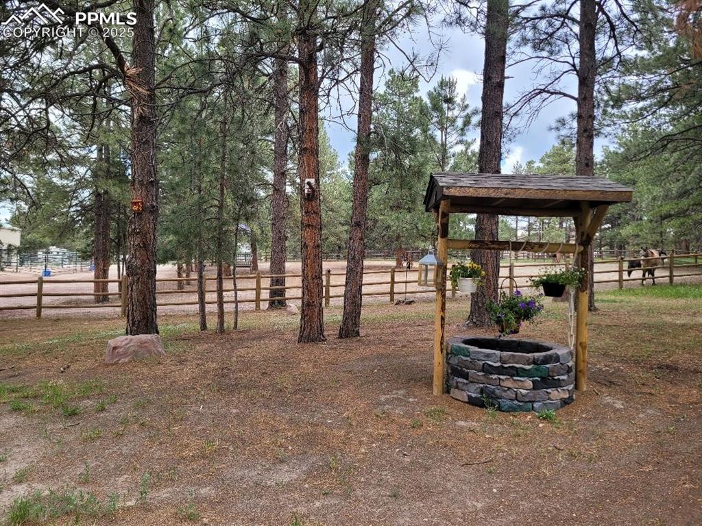 Image 46 of 50: Yard