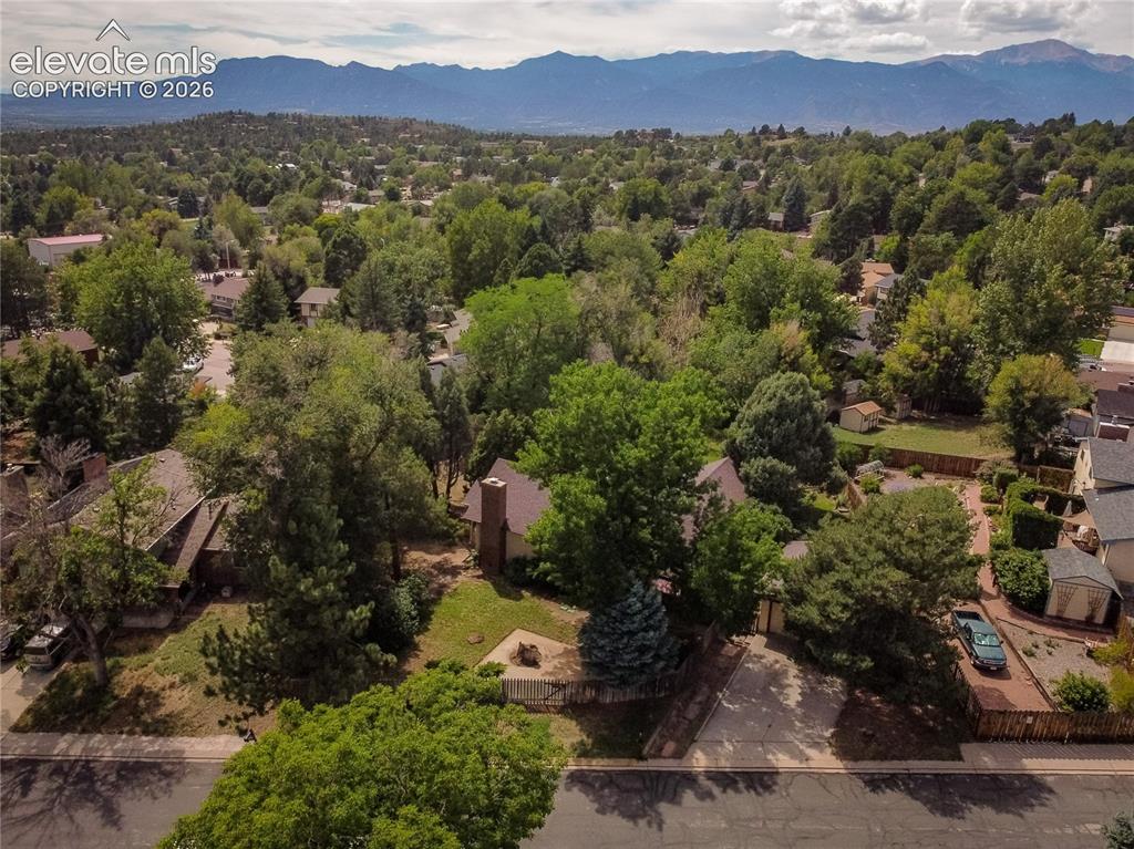 Image 46 of 47: Expansive lot featuring mature trees, a private driveway, and a fenced back