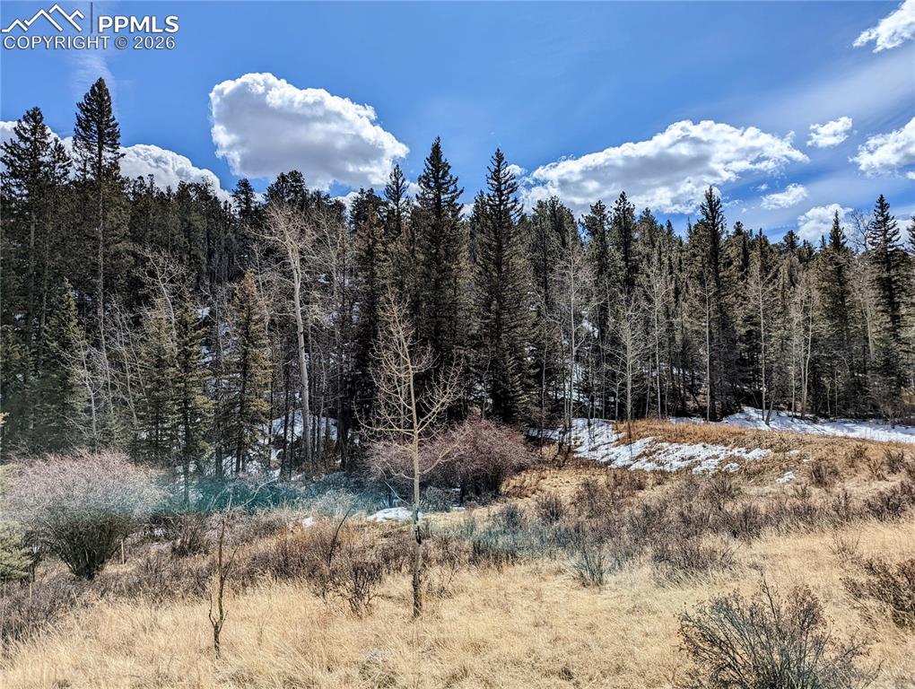 Image 10 of 13: Other