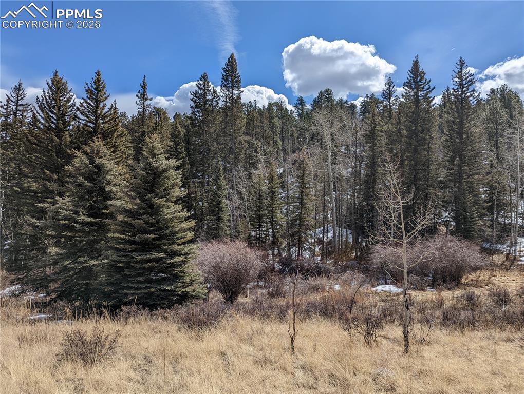 Image 11 of 13: Other