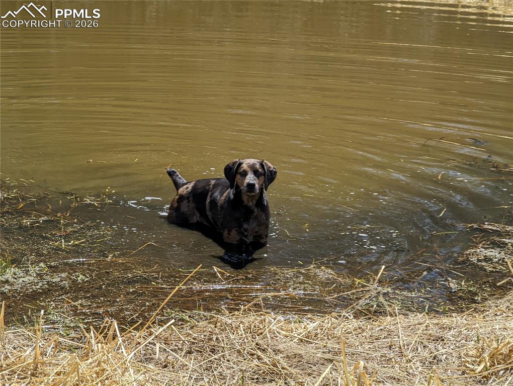 Image 12 of 13: Other