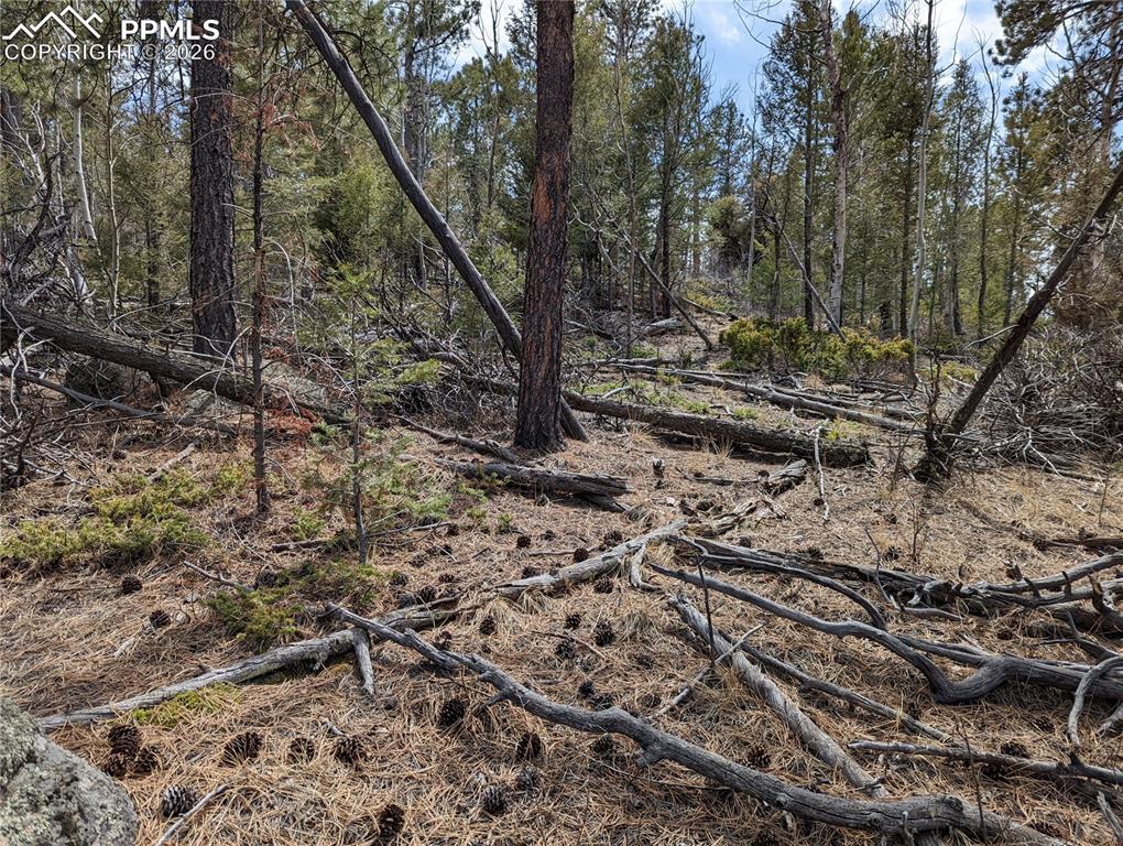 Image 13 of 13: Other