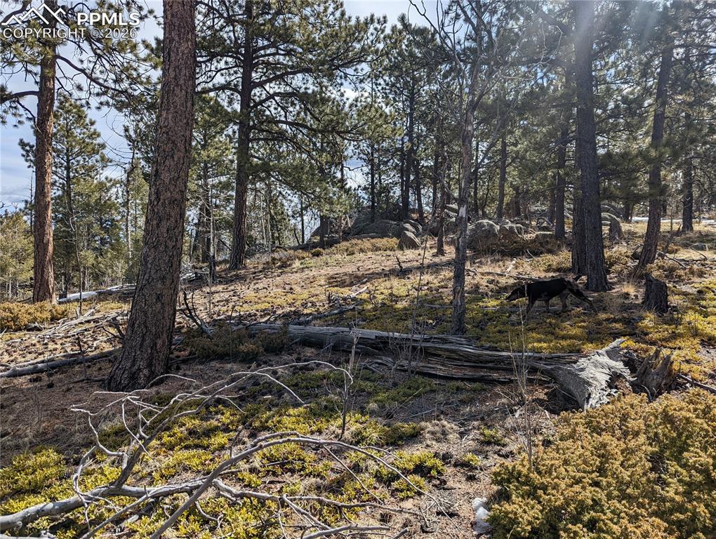 Image 3 of 13: Other