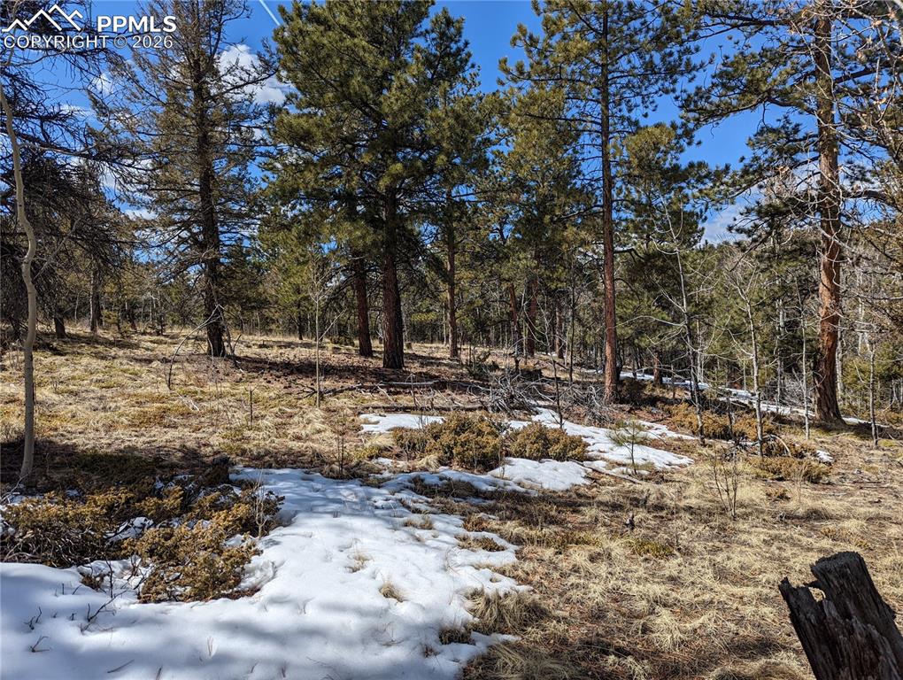 Image 5 of 13: Other