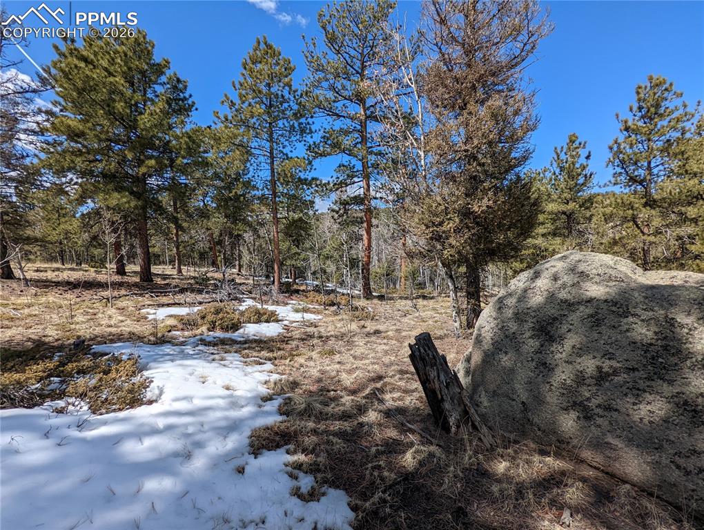 Image 6 of 13: Other