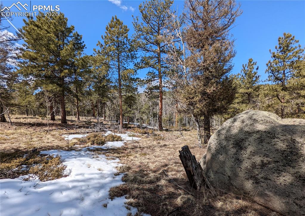 Image 7 of 13: Other