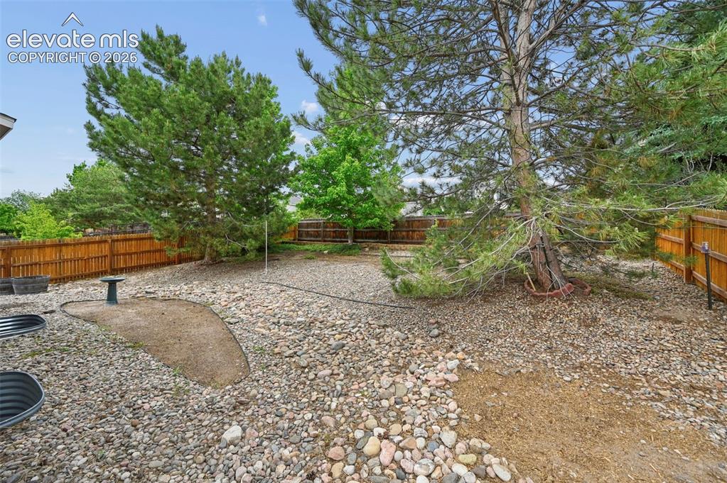 Image 28 of 32: Private backyard featuring mature evergreen trees and a wood privacy fence