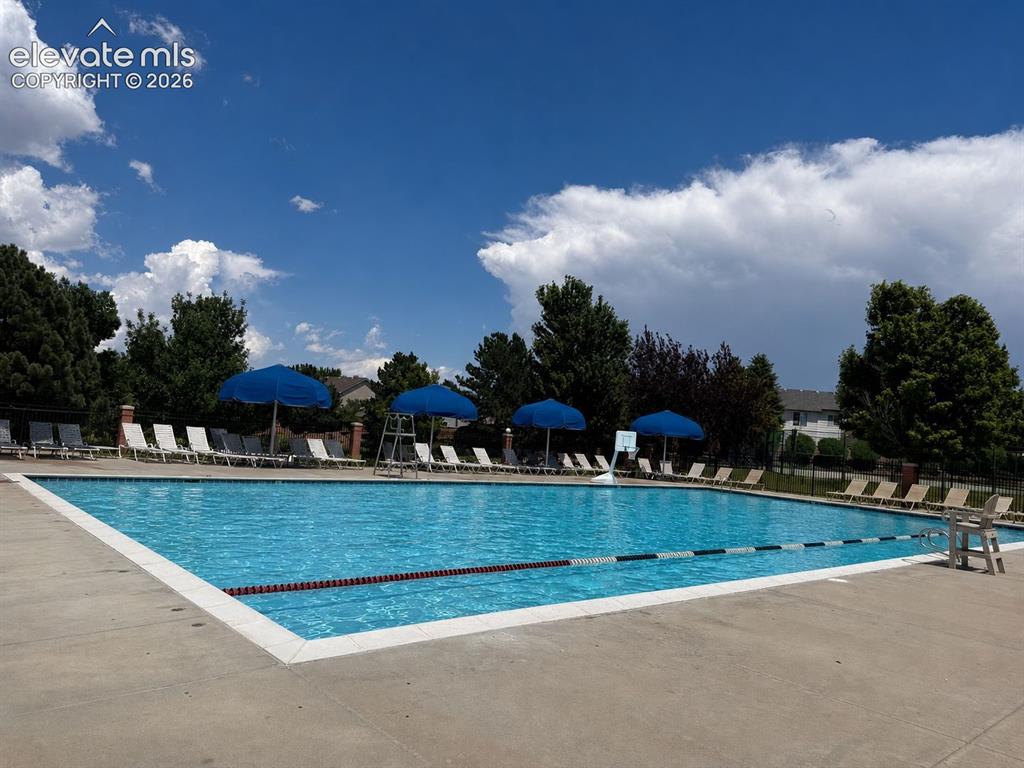 Image 29 of 32: Community swimming pool featuring a concrete deck, multiple lounge chairs,