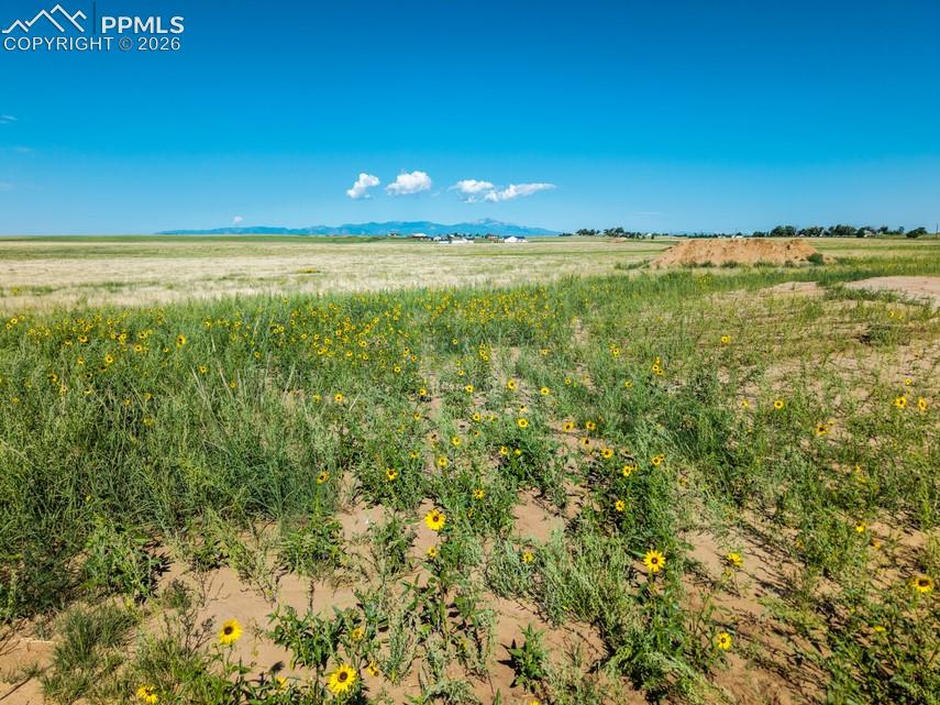 Image 9 of 13: PEACEFUL PRARIE THAT STRECHES TO THE PEAKS!