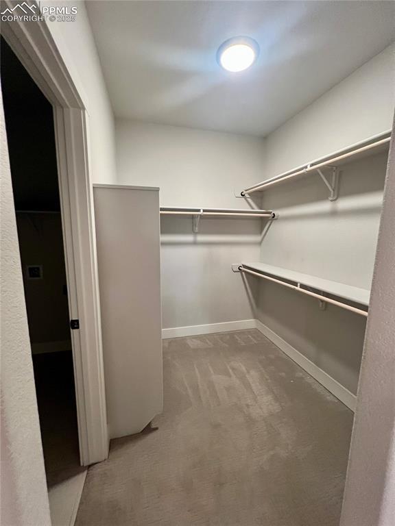 Image 8 of 19: Spacious closet featuring light carpet with door to laundry room