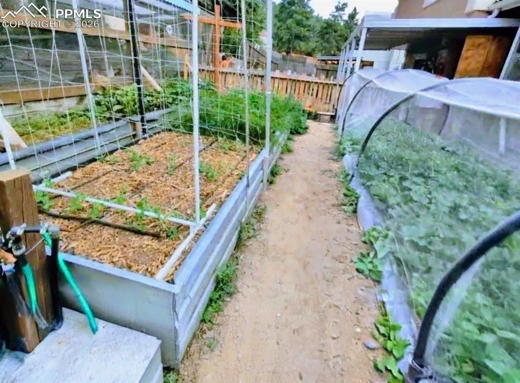 Image 35 of 42: *Garden during growing season*