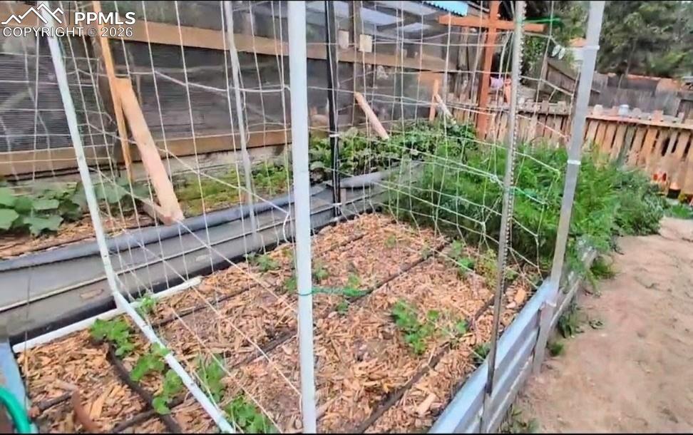 Image 36 of 42: *Garden during growing season*