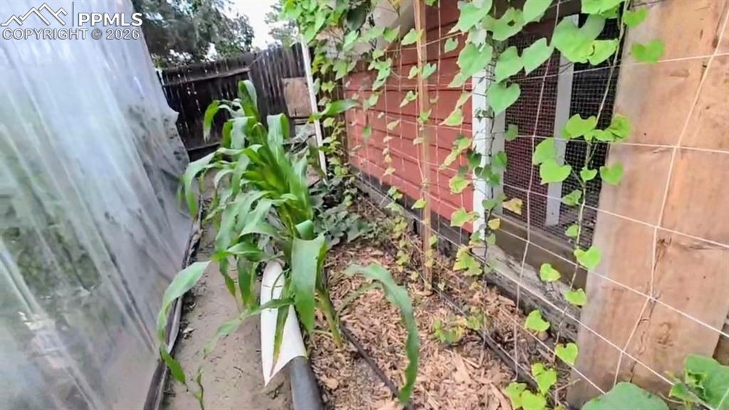 Image 38 of 42: *Garden during growing season*