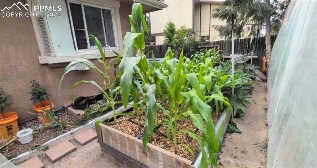 Image 42 of 42: *Garden during growing season*