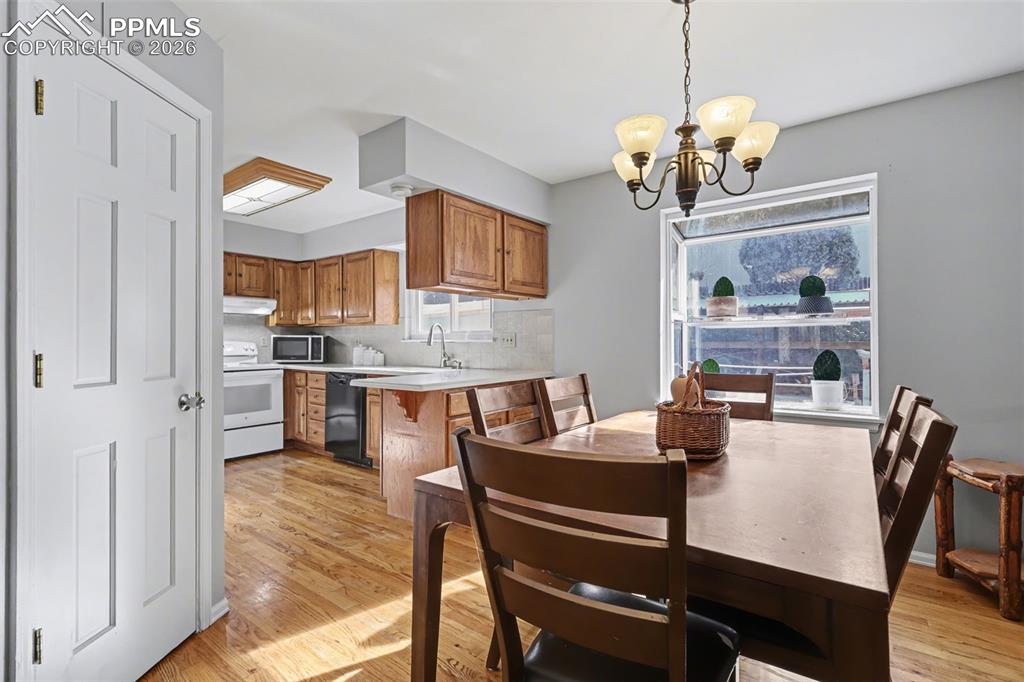 Image 8 of 42: No Description Available