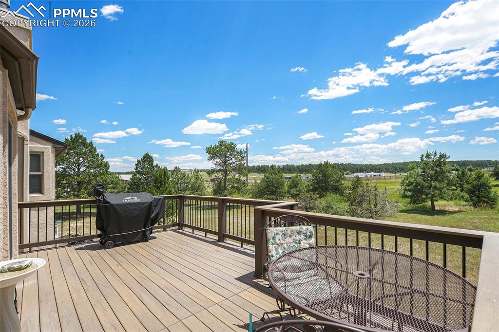 Image 18 of 49: Large composite deck