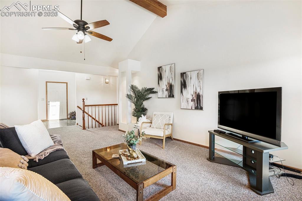 Image 8 of 49: Natural light