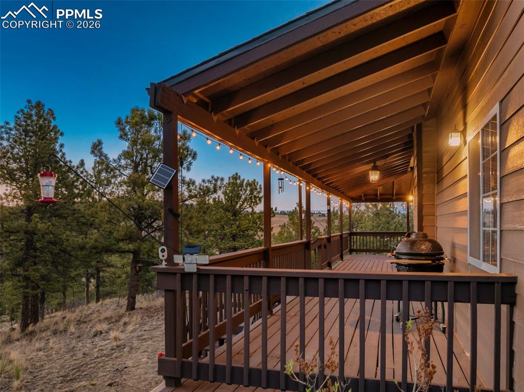 Image 33 of 40: lower