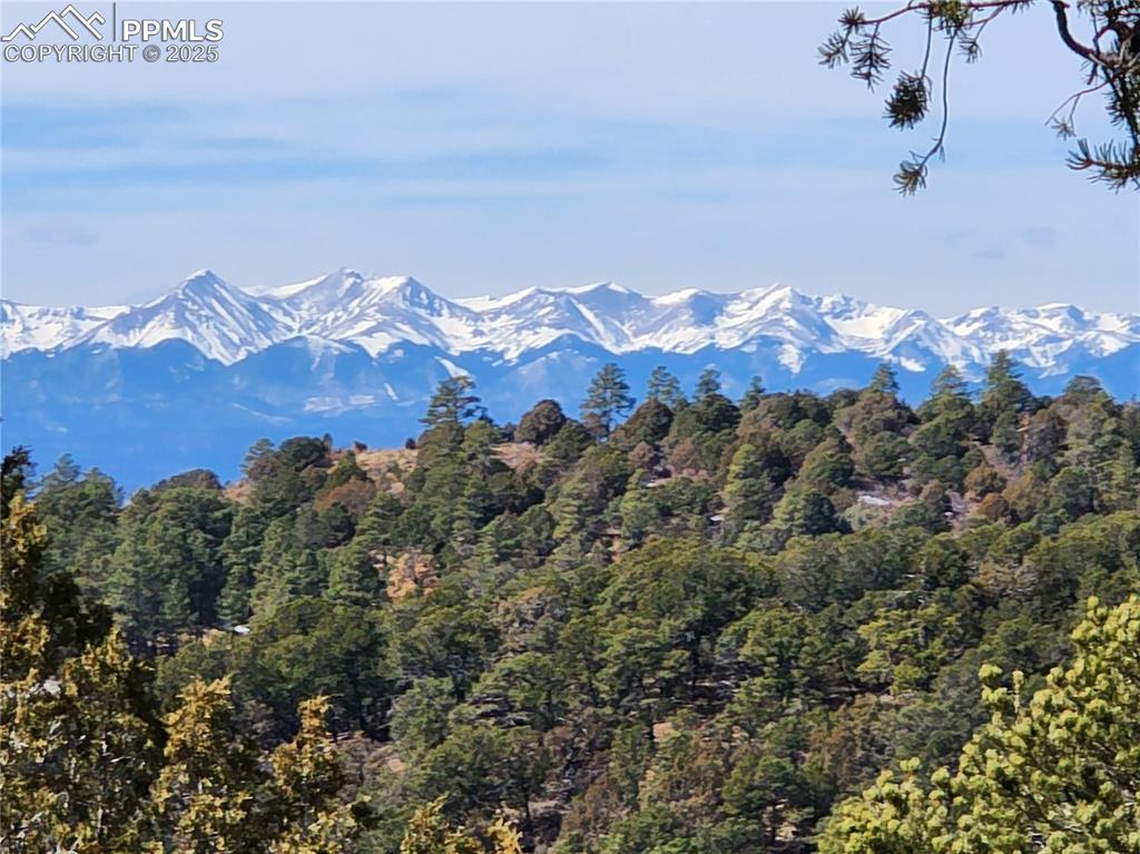 Caption: View of mountain background featuring a heavily wooded area