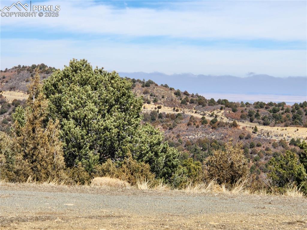 Image 11 of 23: View of mountain background