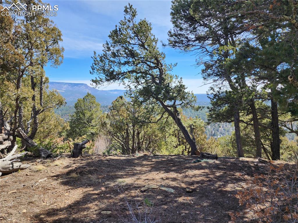 Image 17 of 23: View of mountain background with a heavily wooded area