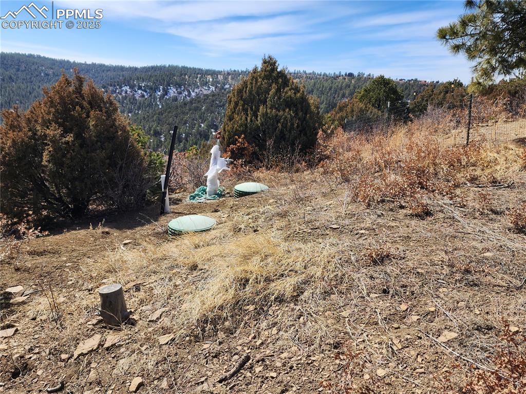 Image 18 of 23: Other