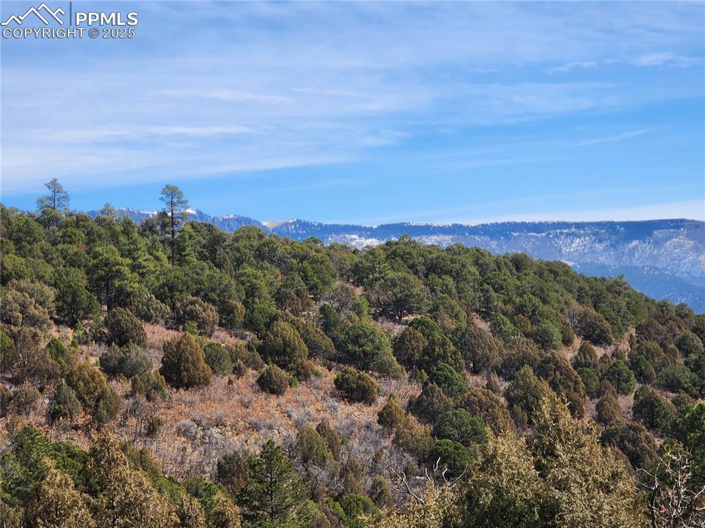 Image 22 of 23: Mountain view featuring a forest