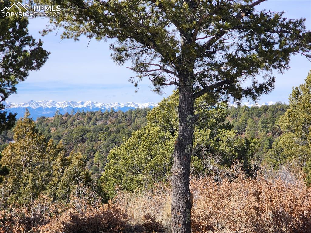 Image 5 of 23: View of mountain backdrop featuring a forest