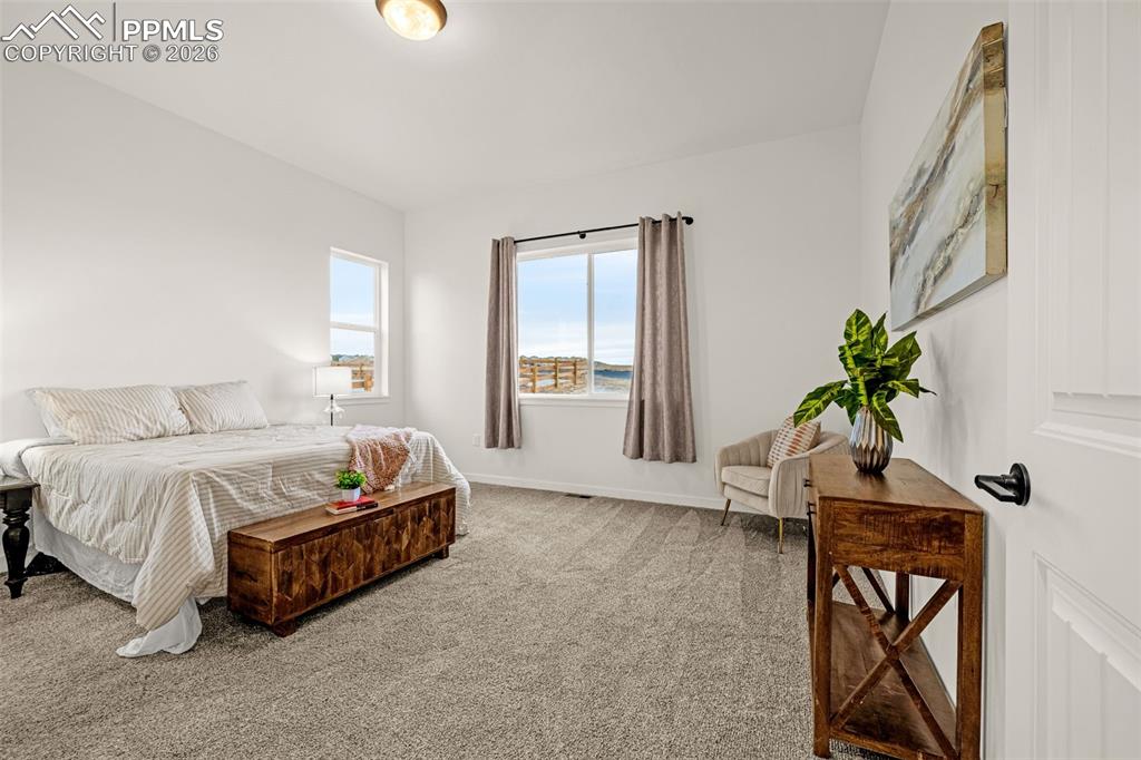 Image 17 of 45: No Description Available