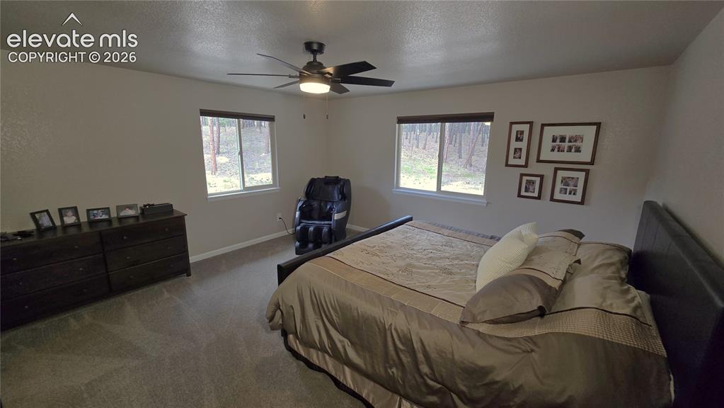 Image 19 of 46: primary bedroom main floor