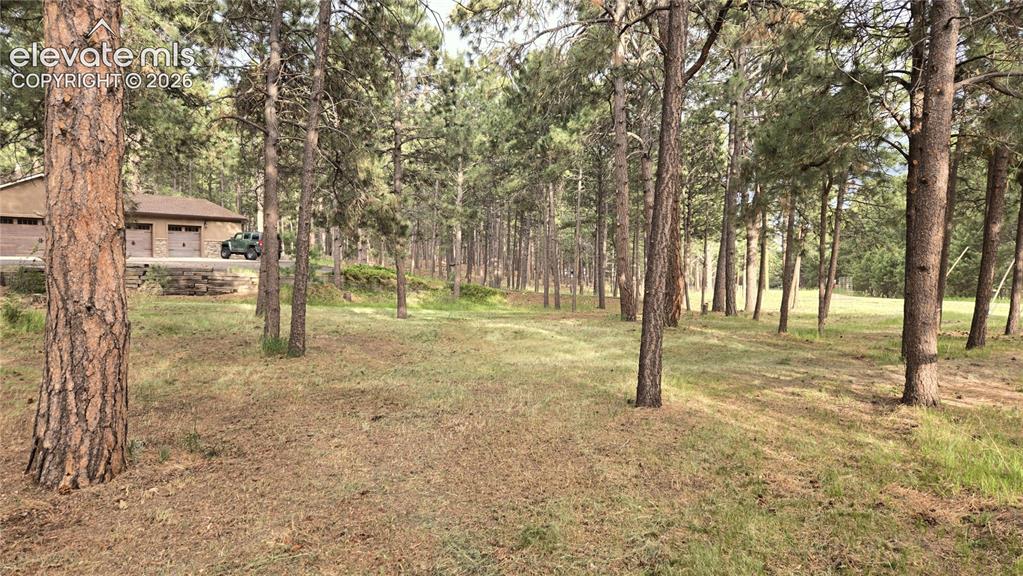 Image 40 of 46: Yard