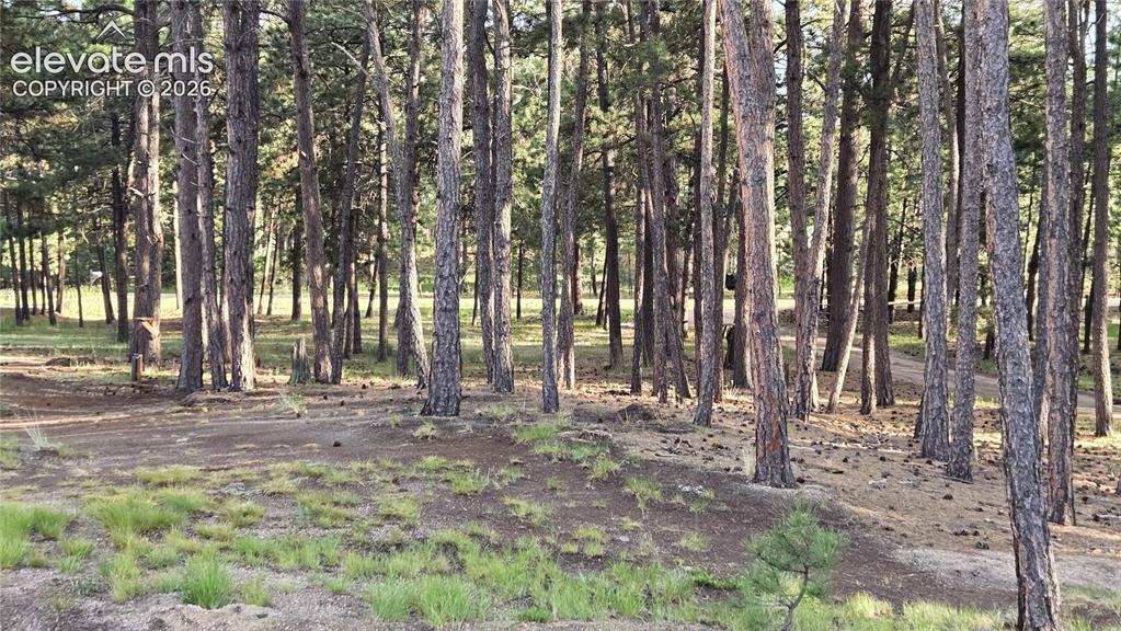 Image 41 of 46: Yard