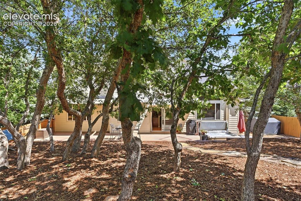 Image 25 of 50: Shade trees provide privacy throughout the backyard.