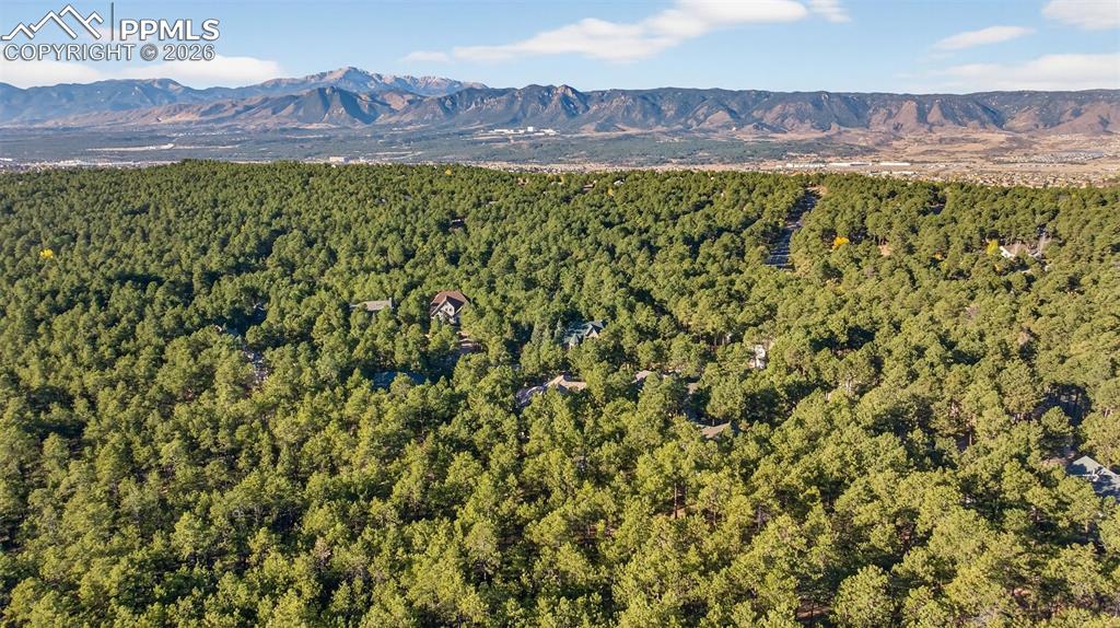 Image 2 of 50: Floor plan