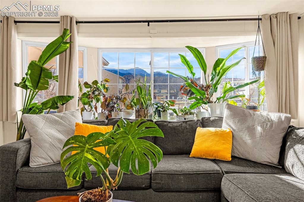 Image 8 of 38: Other