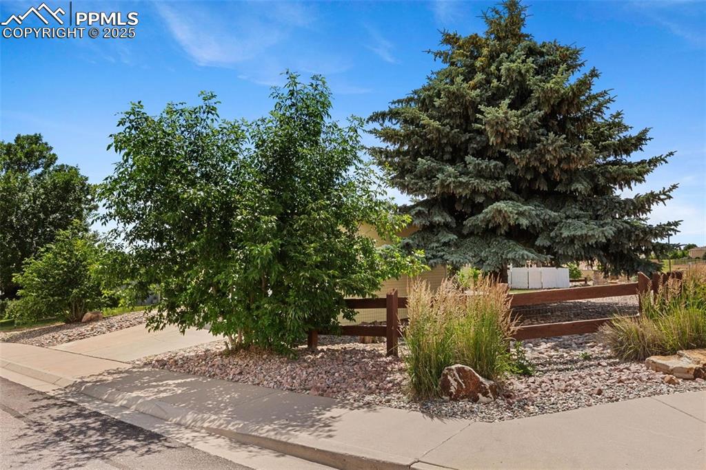 Image 22 of 24: Community