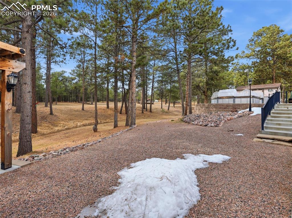 Image 41 of 50: Yard