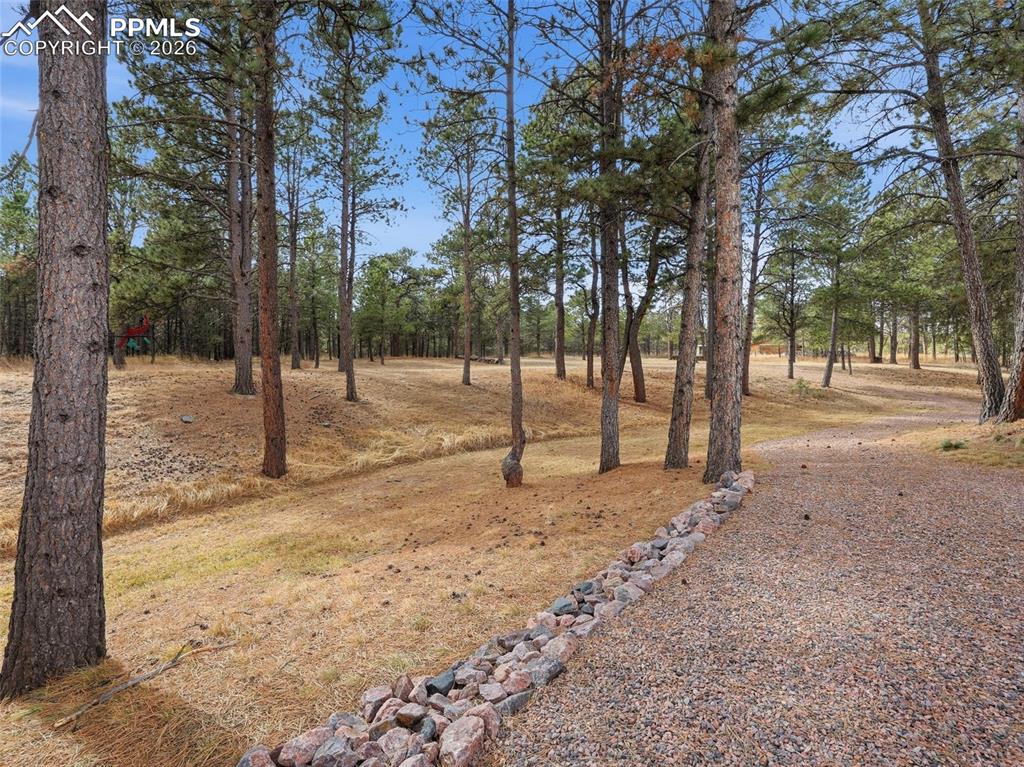 Image 42 of 50: Yard