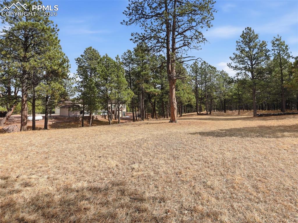 Image 43 of 50: Yard