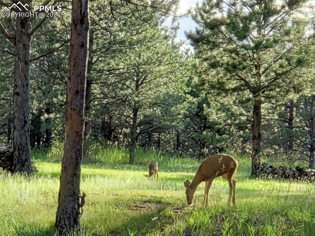 Image 49 of 50: Other