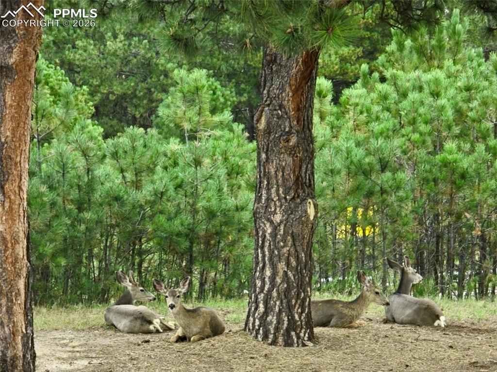 Image 50 of 50: Other