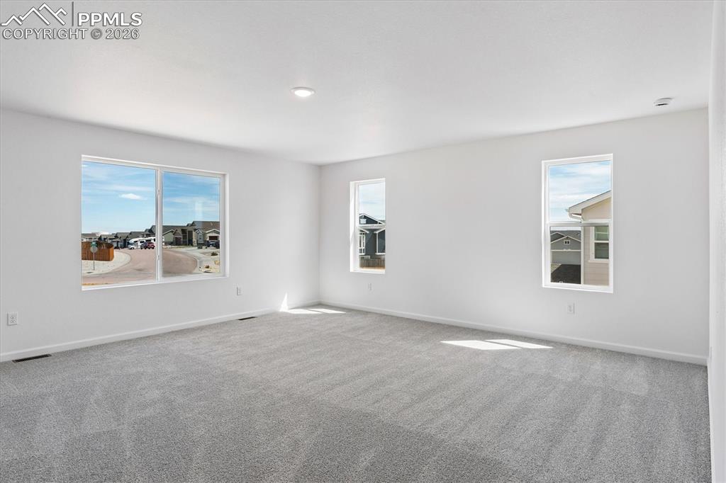 Image 21 of 24: No Description Available